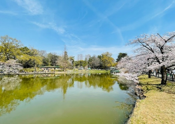 ベルエール大宮盆栽町(大宮公園)