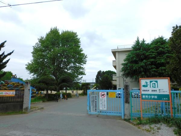 上尾市大字上尾下の土地(上尾市立原市小学校)