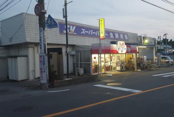 ヴィルヌーブ大宮(スーパーバリュー見沼南中野店)