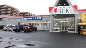 さいたま市北区奈良町の新築一戸建(ドラッグストアセキ奈良町店)