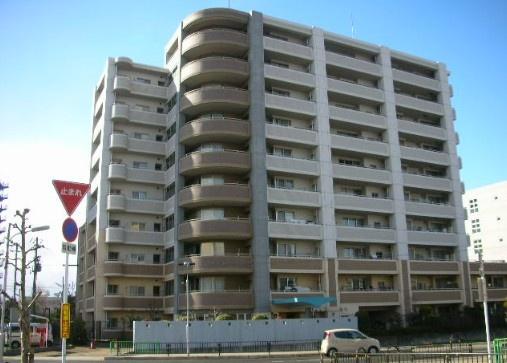 アズ・メイプ，リバティ