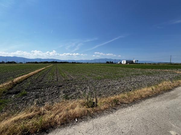 守山市赤野井町の売土地
