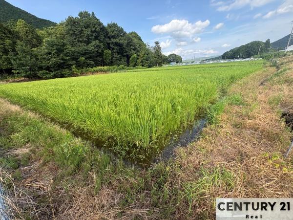 野洲市三上の売土地