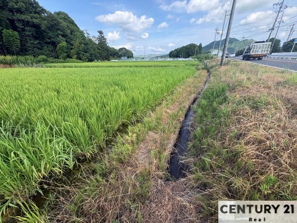 野洲市三上の土地