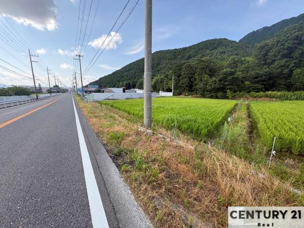 野洲市三上の土地