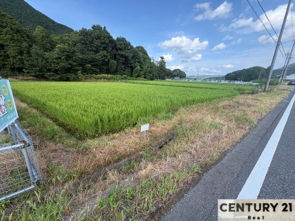 野洲市三上の土地