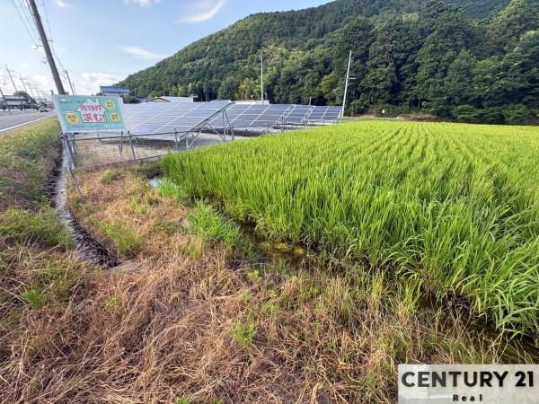 野洲市三上の土地