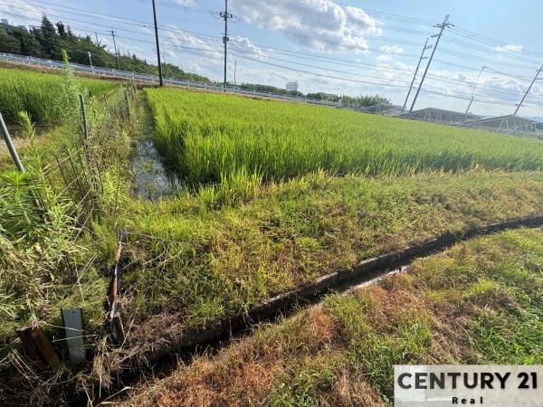 野洲市三上の土地