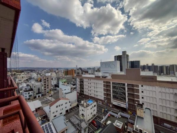 シャンボール康生
