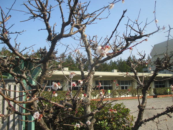 岡崎市細川町第14　新築戸建全2棟　2号棟(岡崎市立新香山中学校)