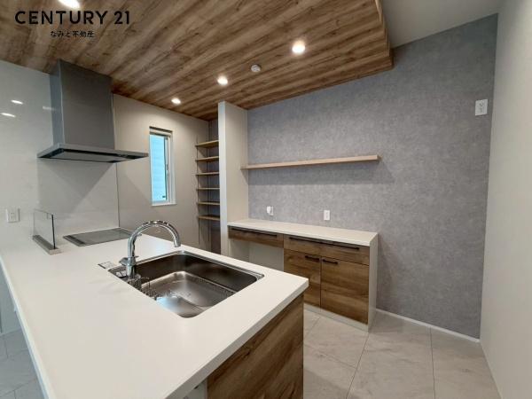 岡崎市矢作町　新築戸建　3号棟