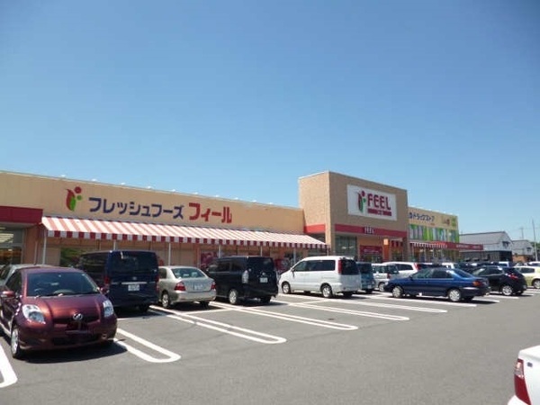 岡崎市宮地町字寺北の土地(フィール岡崎柱町店)
