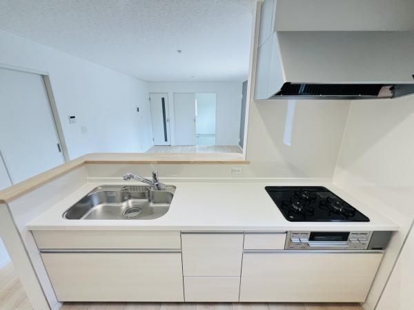 西尾市一色町　新築戸建第10号棟