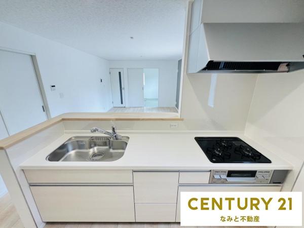 西尾市一色町味浜上乾地　新築建売10号棟
