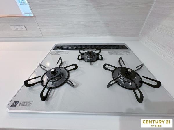 岡崎市大和町7期　新築戸建　全3棟　1号棟