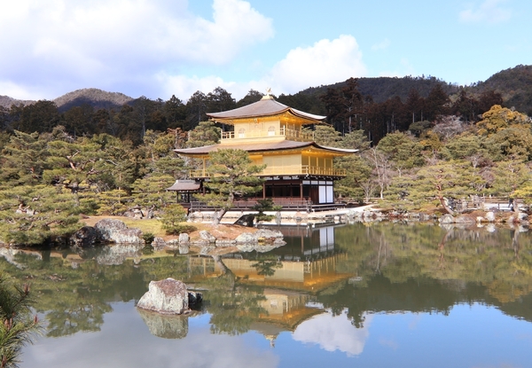 シャルマン衣笠金閣寺ハイツ(金閣寺(鹿苑寺))