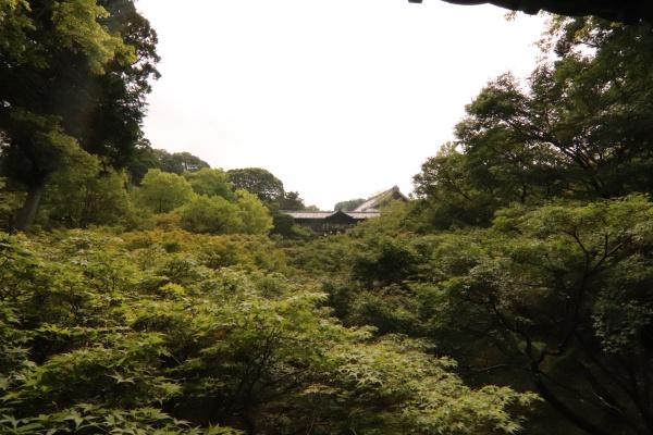 京都市東山区泉涌寺東林町の新築一戸建(東福寺臥雲橋)