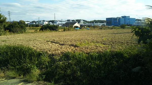 みよし市福谷町根浦　売土地（農地）