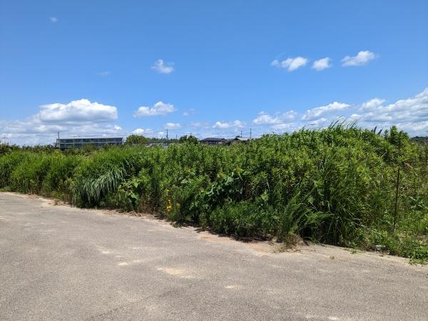 みよし市福谷町根浦の土地