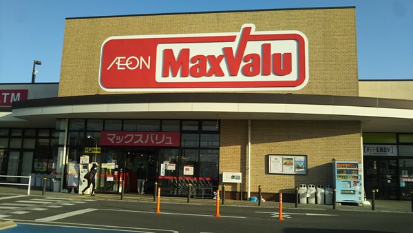 エルシエロ日進天空の館(マックスバリュ米野木店)