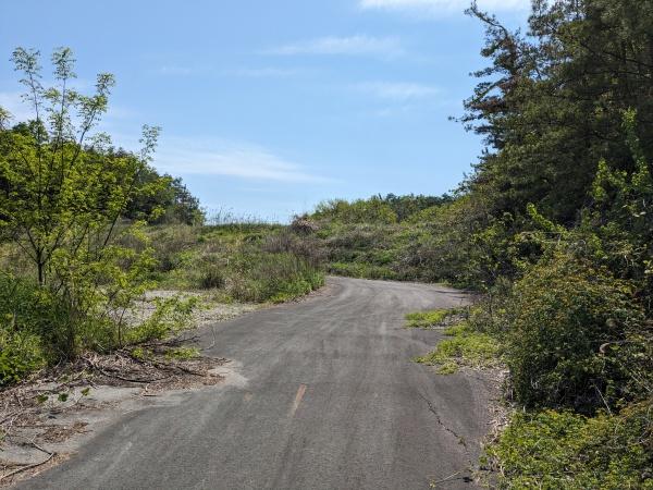 豊田市田籾町広久手の土地