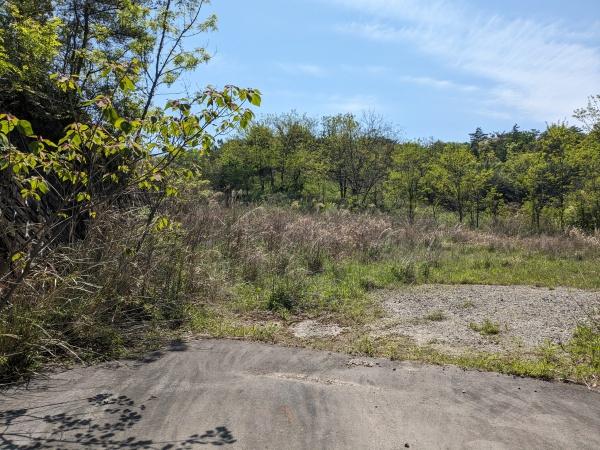 豊田市田籾町広久手の土地