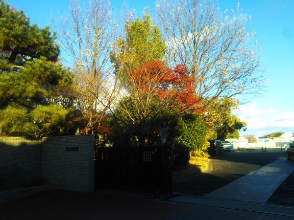 日進市梅森町新田の土地(日進市立西小学校)