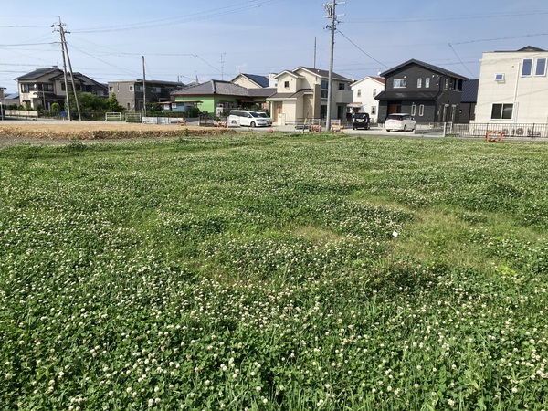 浜松市中央区白羽町の土地