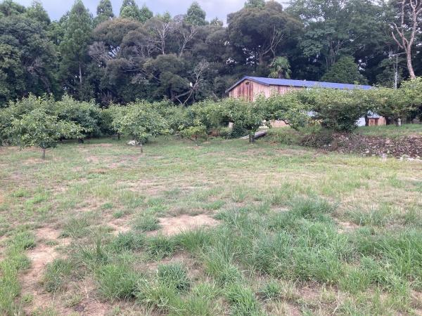 センチュリー２１浜松不動産販売　浜名区大平の土地