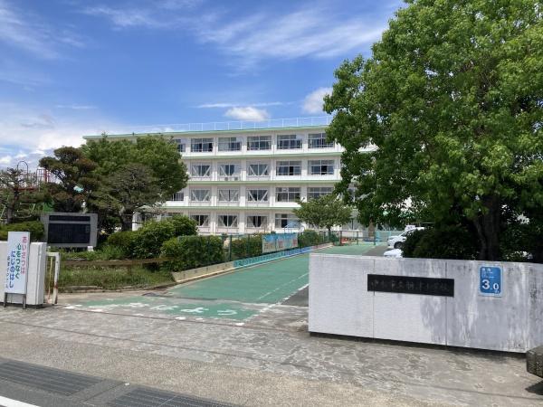 浜松市中央区新橋町の土地(新津小学校)