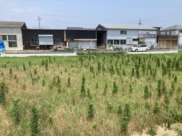 センチュリー２１浜松不動産販売　白羽町の分譲地　ナンバー４