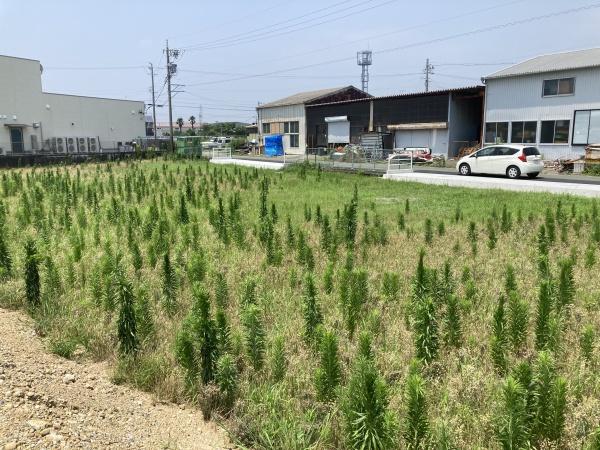 センチュリー２１浜松不動産販売　白羽町の分譲地　ナンバー４