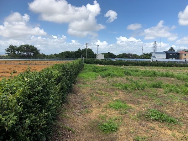 浜松市中央区和合町の土地