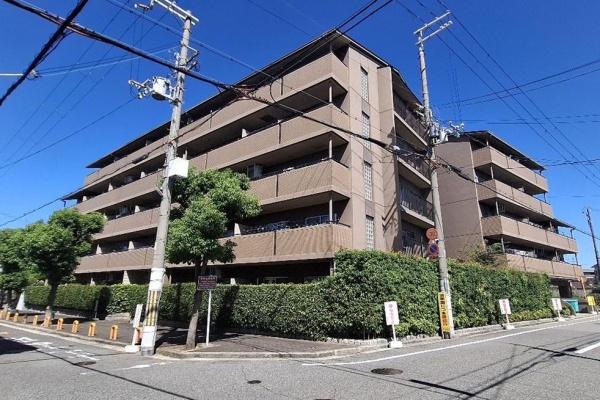 ラナ・トーア諏訪森