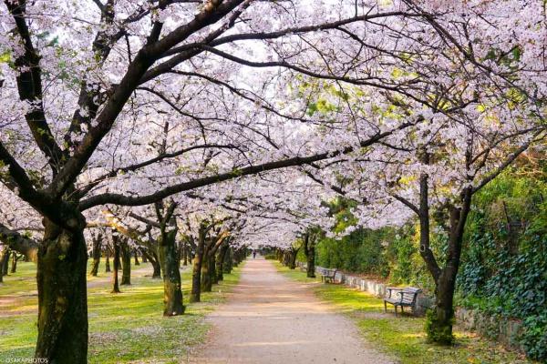 堺市西区浜寺公園町2丁の中古一戸建て(浜寺公園)