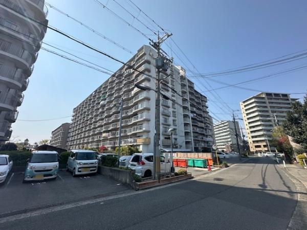 エバーグリーン金岡３号館