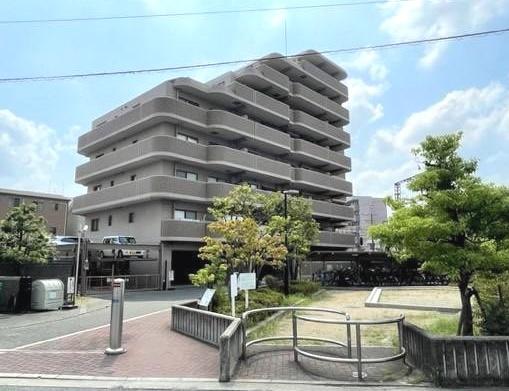 ディオフェルティ白鷺