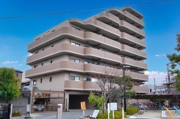 ディオフェルティ白鷺