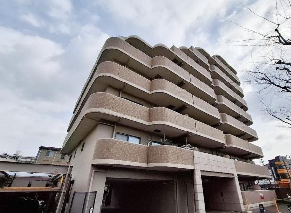 ディオフェルティ白鷺