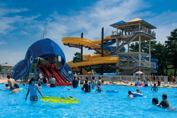 堺市西区浜寺昭和町２丁の新築一戸建(浜寺公園)