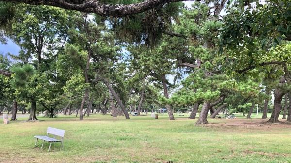 メゾンドール羽衣(浜寺公園)