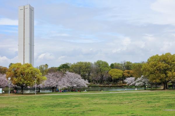 ヴィルメゾン上野芝(大仙公園)
