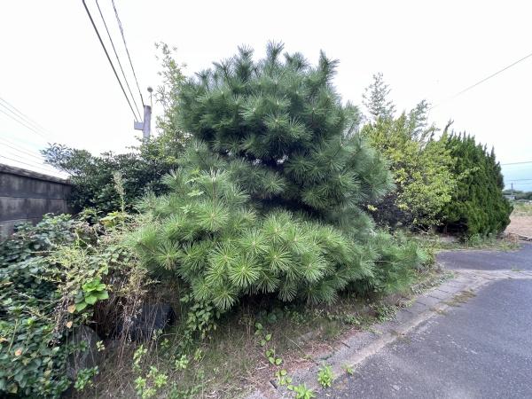 出雲市神西沖町売土地