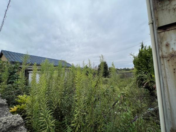 出雲市神西沖町蛇島の土地