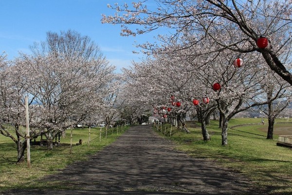 北諸県郡三股町大字餅原の土地(旭ヶ丘運動公園野球場)