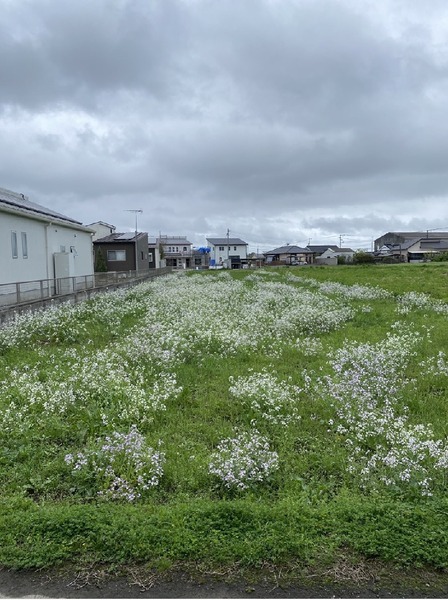 都城市金田町の売土地