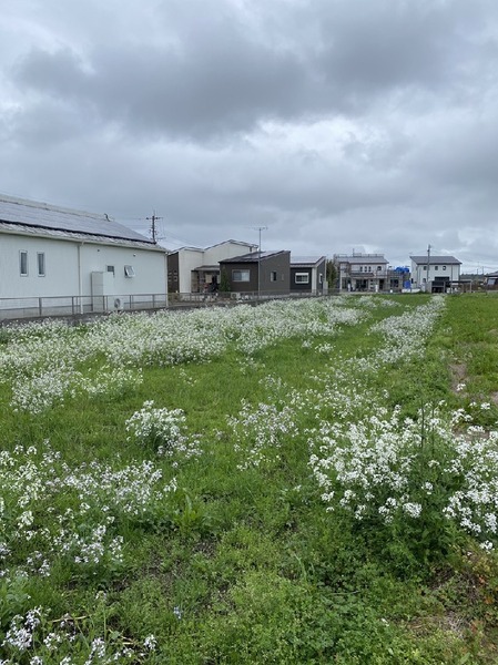 都城市金田町の売土地