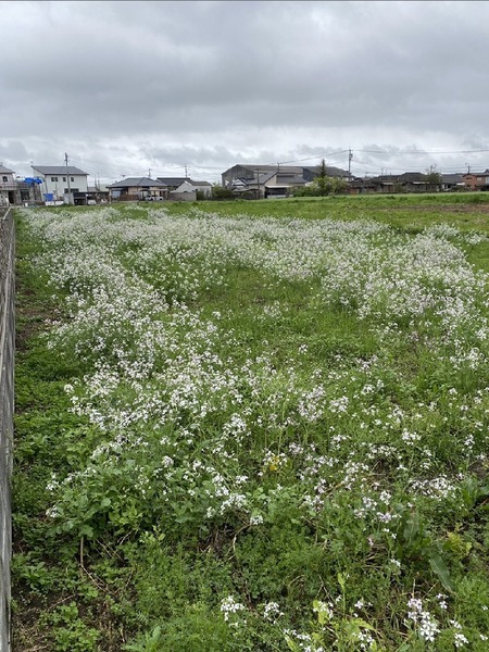 都城市金田町の売土地