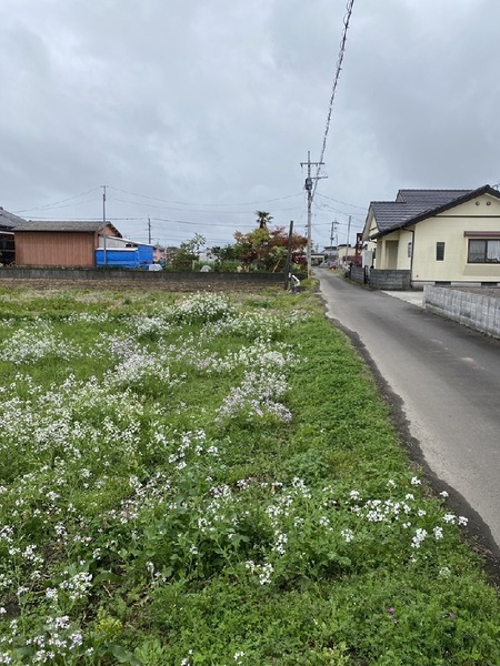 都城市金田町の売土地