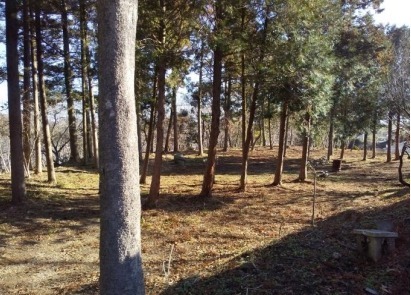 都城市山田町山田の土地